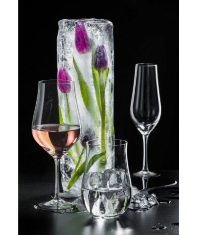 Šampano taurės Tulipa 170ml...