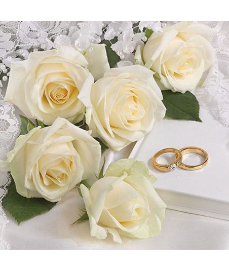 Servetėlės 33cm "White...