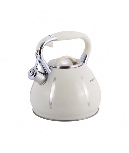 Nerūdijančio plieno...