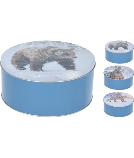 Metalinė dėžutė 20x8,7cm...