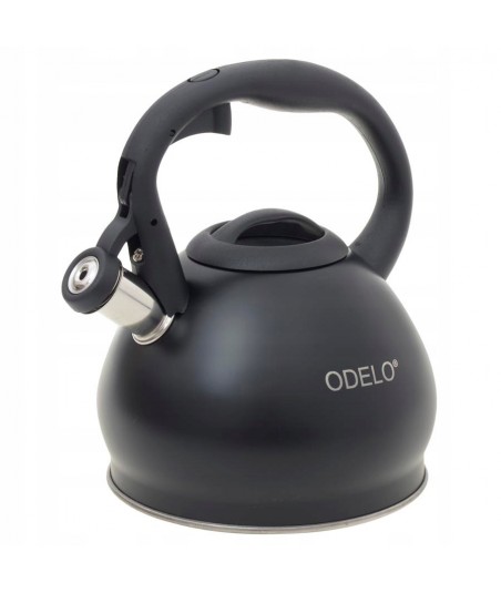 Arbatinukas iš nerūdijančio...