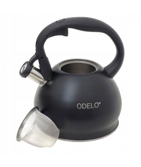 Arbatinukas iš nerūdijančio...