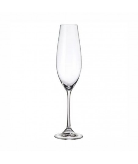 Taurės Columba šampanui...