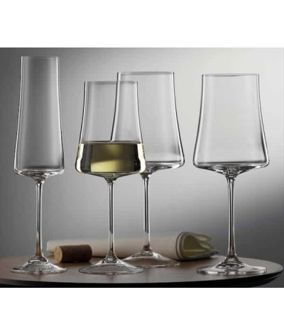 Taurės vynui 460ml 6vnt ,XTRA