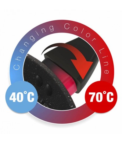 Banquet keptuvė su...