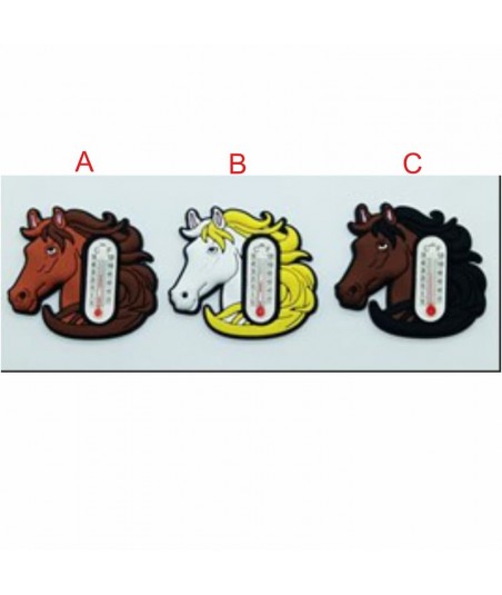 Magnetukas-termometras,...