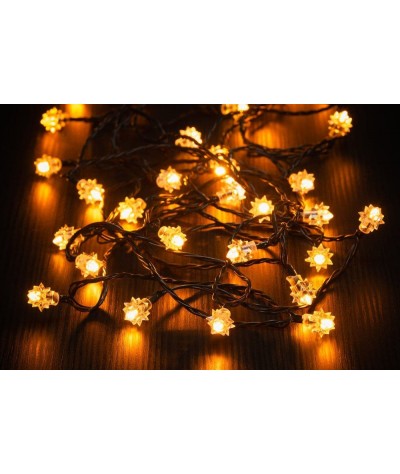 Girlianda su 40LED...