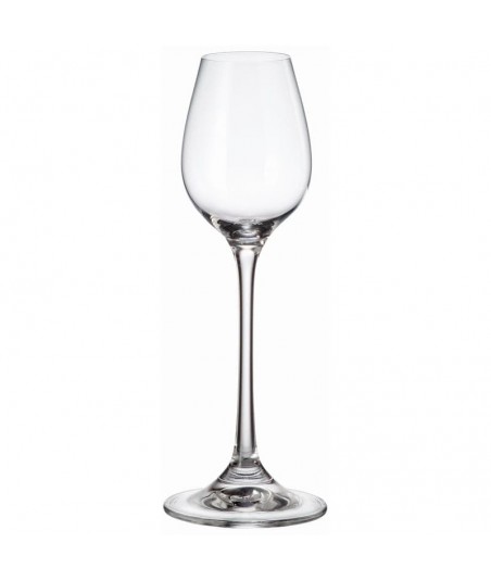 Taurės Columba stipriems...