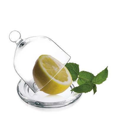 INDAS STIKLINIS CITRINAI